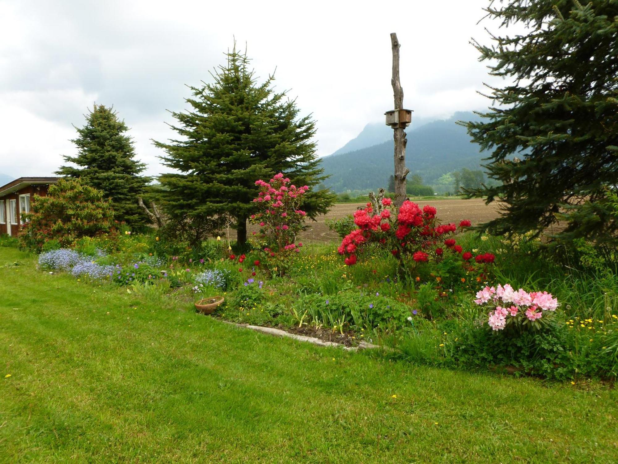 Harrison Hammond House Farmstay Harrison Mills Exteriör bild