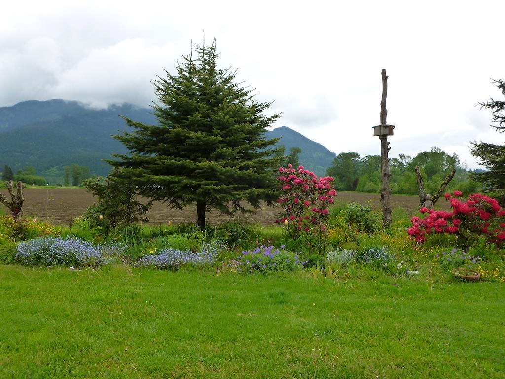 Harrison Hammond House Farmstay Harrison Mills Exteriör bild