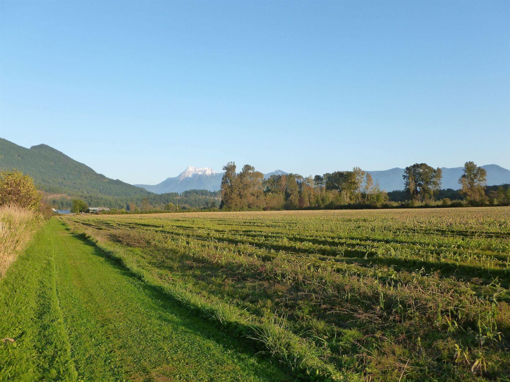 Harrison Hammond House Farmstay Harrison Mills Exteriör bild